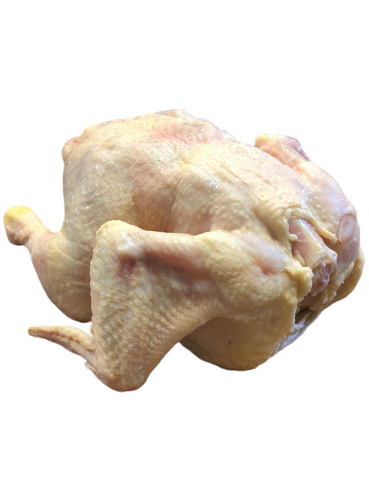Fresh Whole Chicken